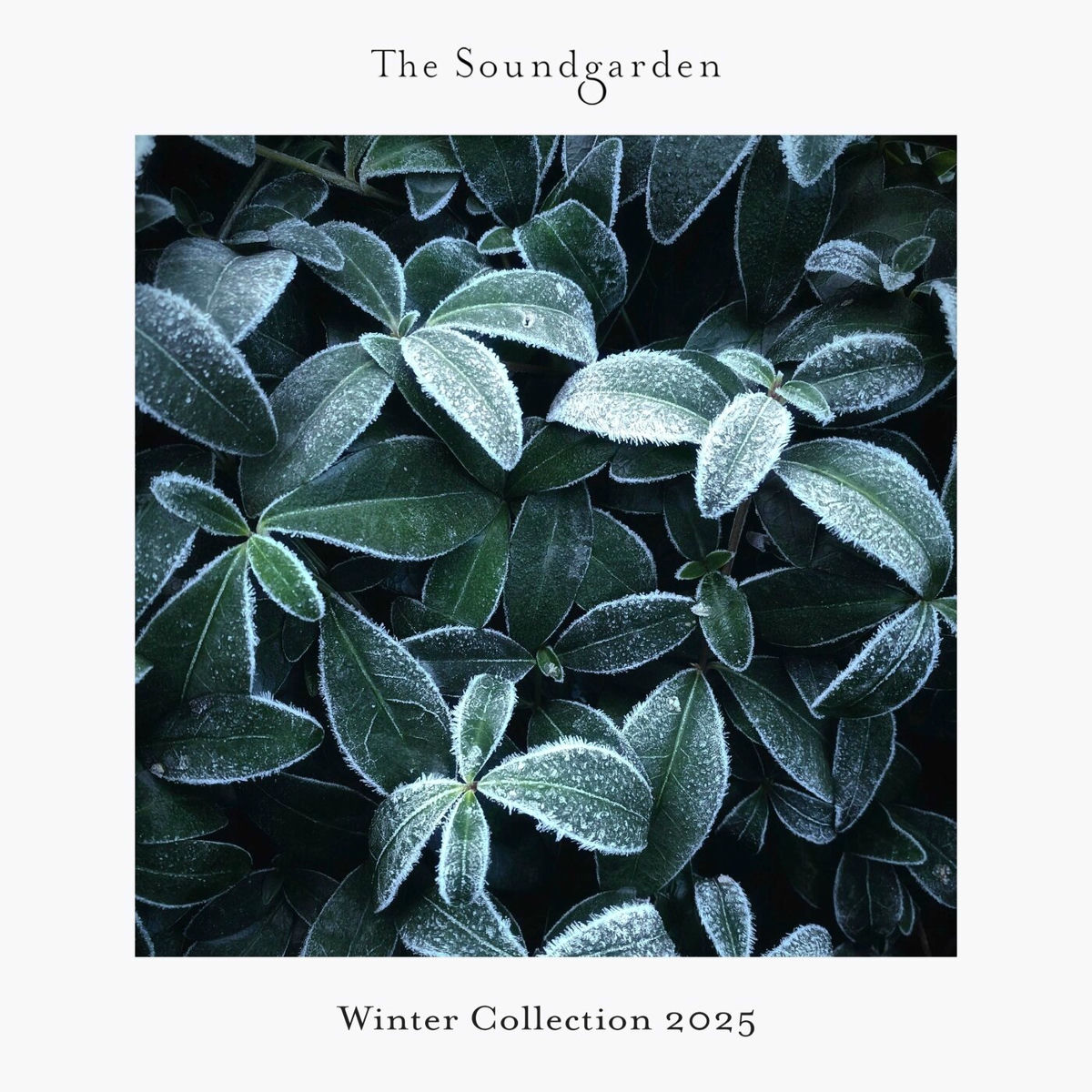 Album cover of Winter Collection 2025