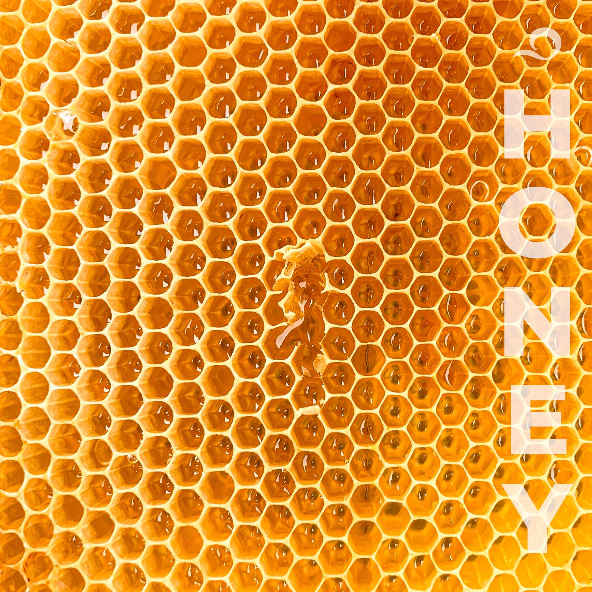 Album cover of Honey