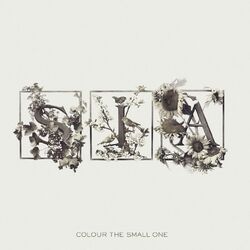 Cover of Colour The Small One