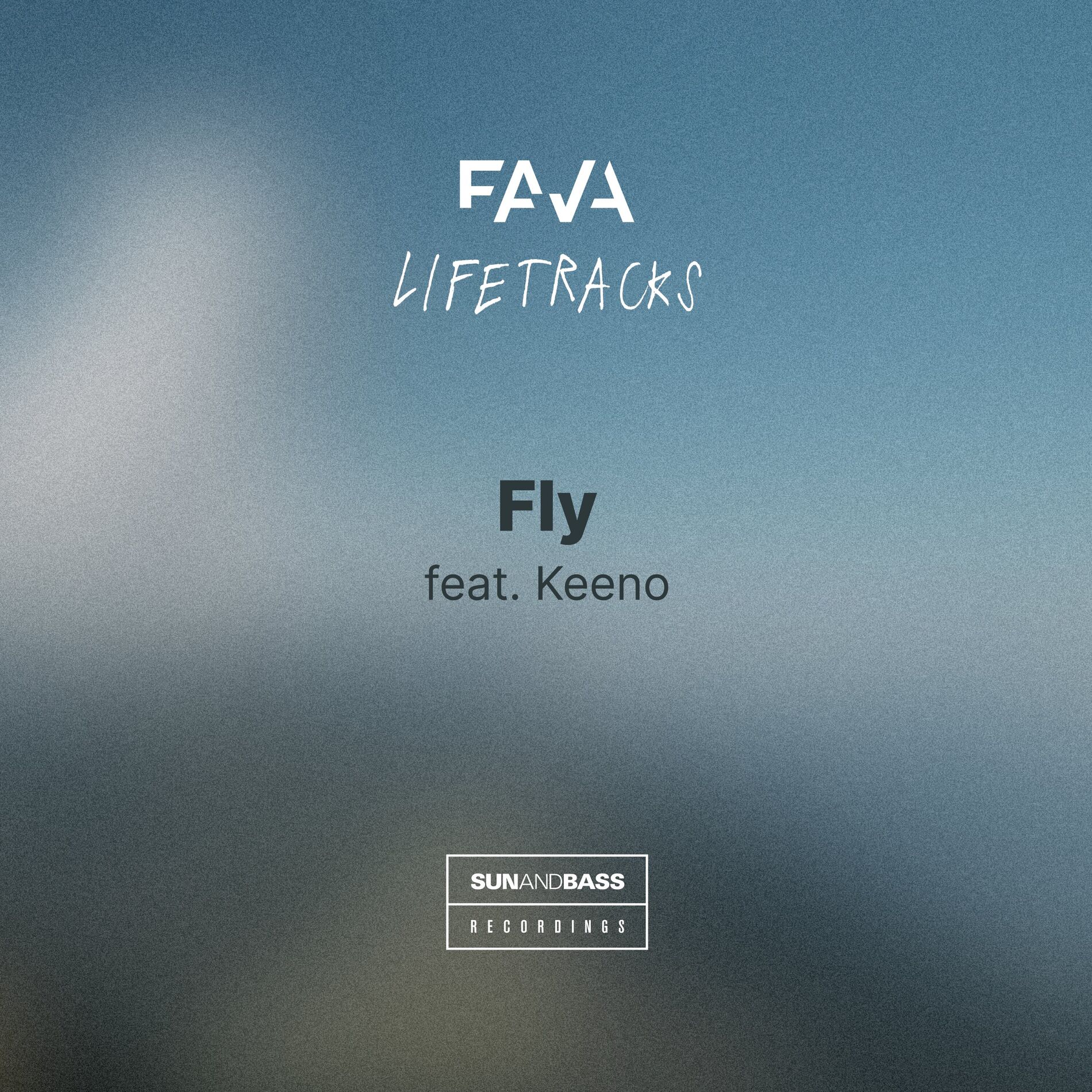 Album cover of Fly