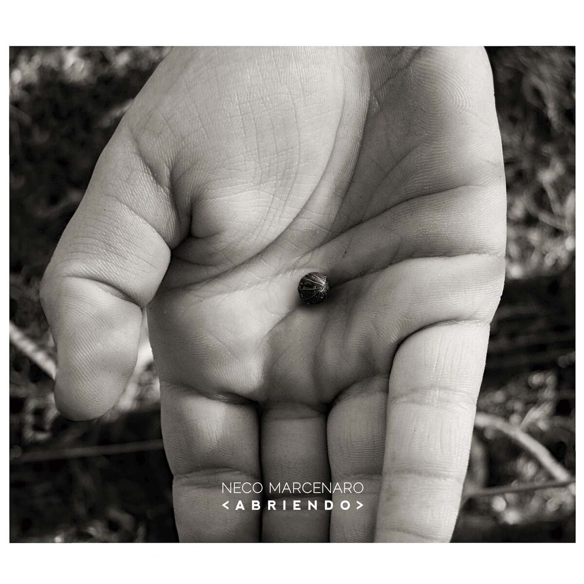 Album cover of Abriendo