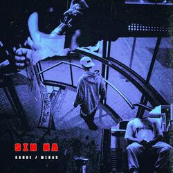 Cover of SIN NA'