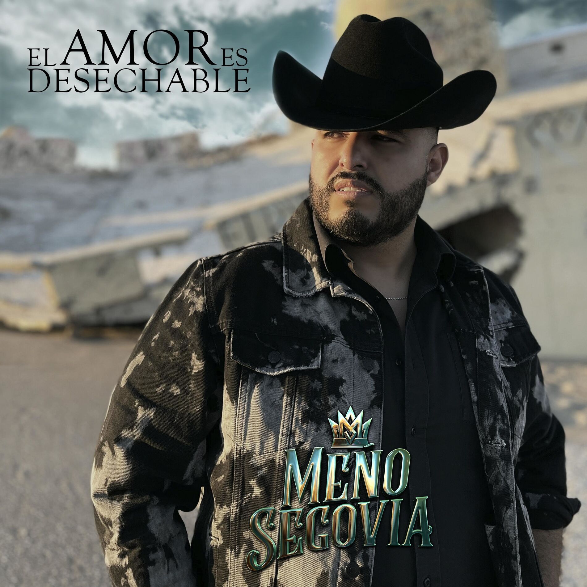 Album cover of El Amor es Desechable