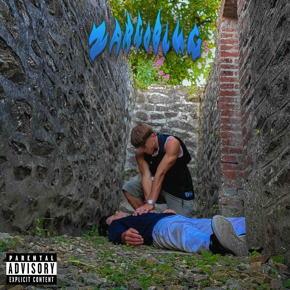 Album cover of PÈTE MA TÊTE CONTRE LE SOL