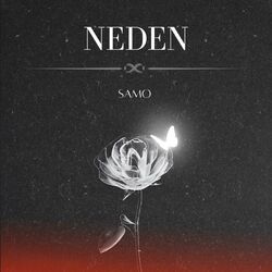 Cover of Neden
