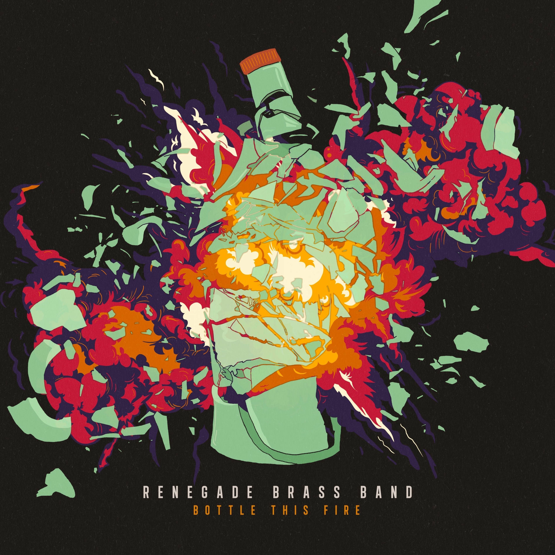 Album cover of Bottle This Fire