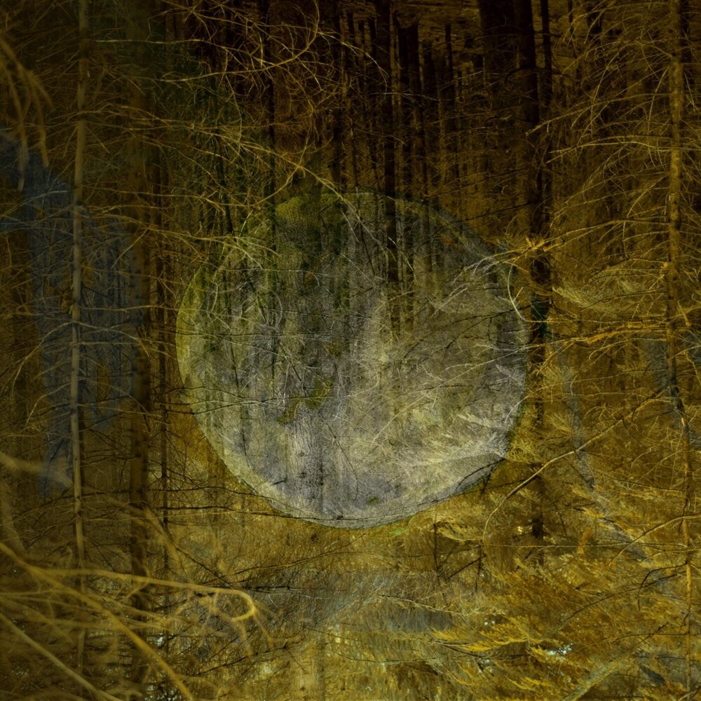 Picture of Place
