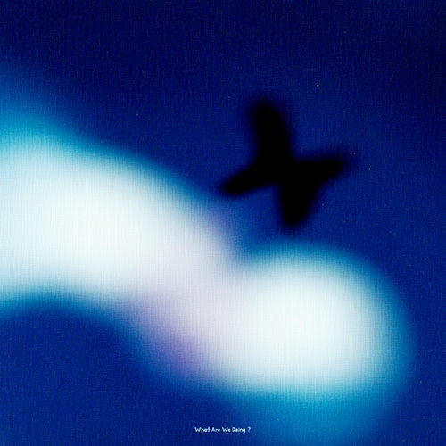 Boi Brown – What are we doing? – Single