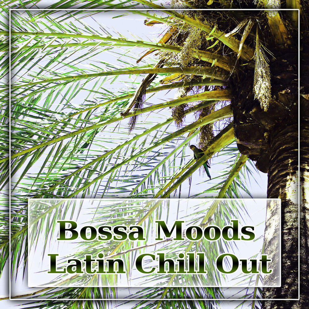 Picture of Bossa Moods Latin Chill Out - Summer Solstice, Summer Ibiza, Lounge Evolution