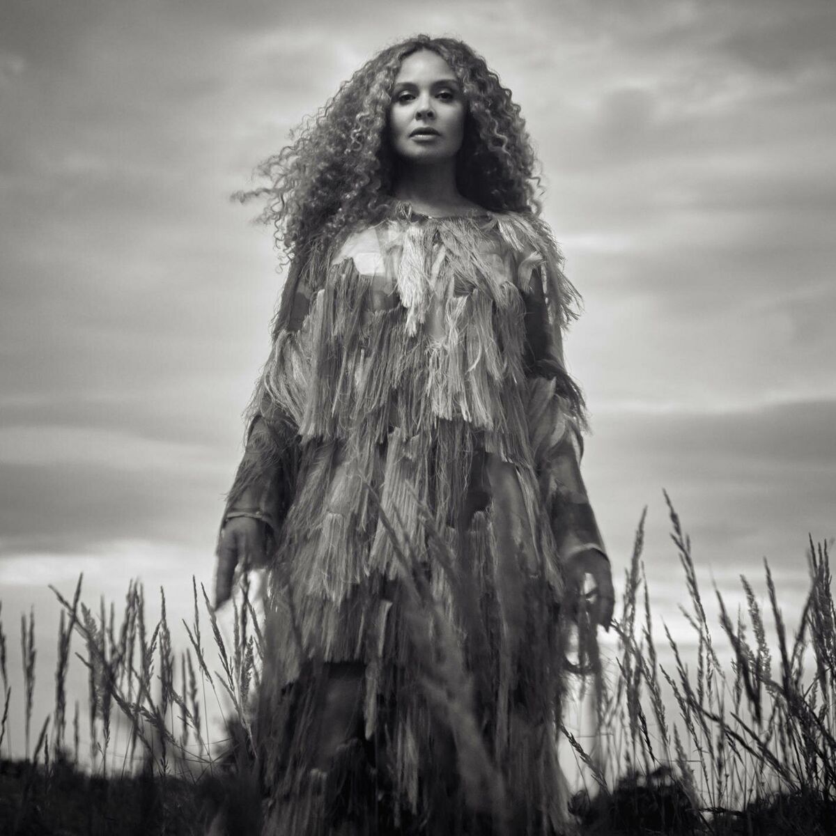 Album cover of WILLPOWER