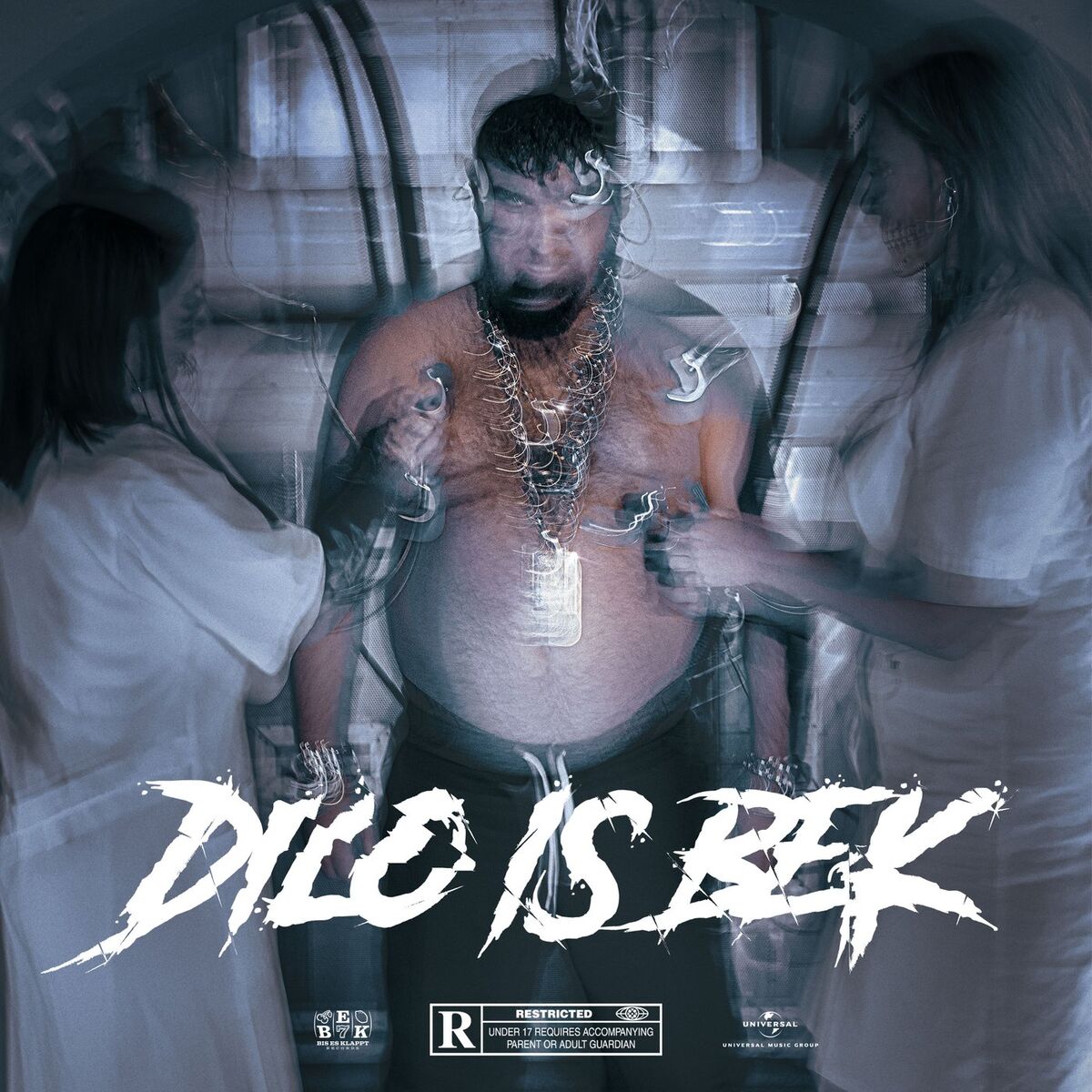 Album cover of DILO is BEK