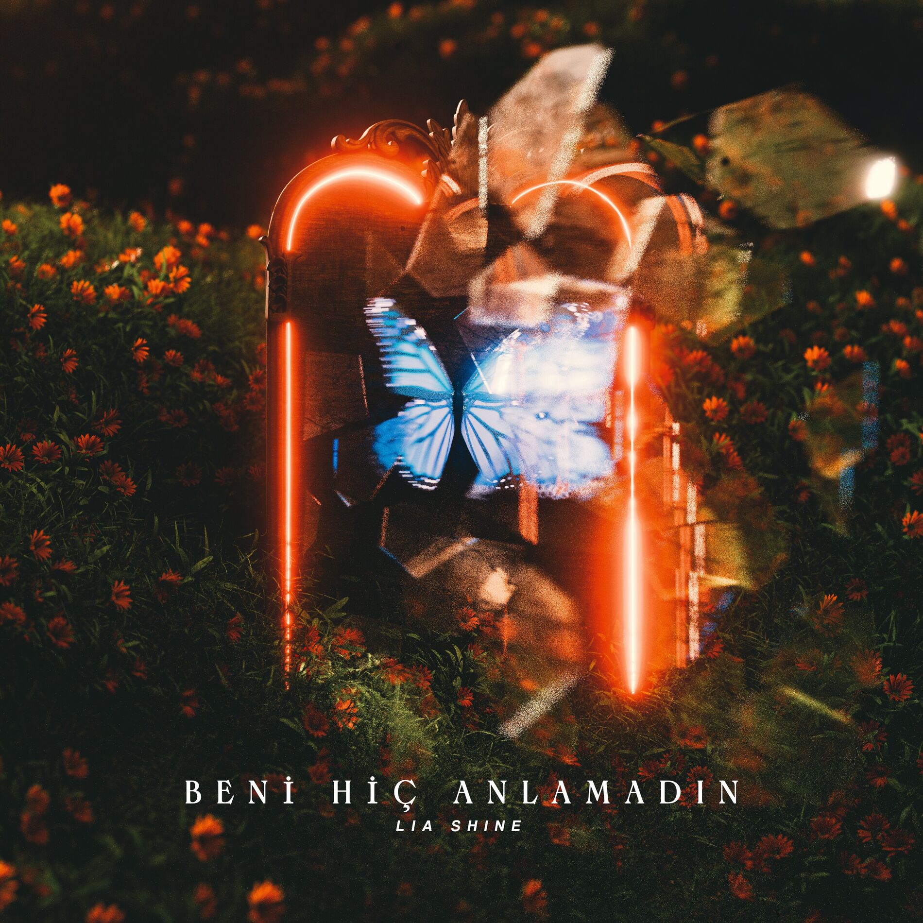 Album cover of Beni Hiç Anlamadın