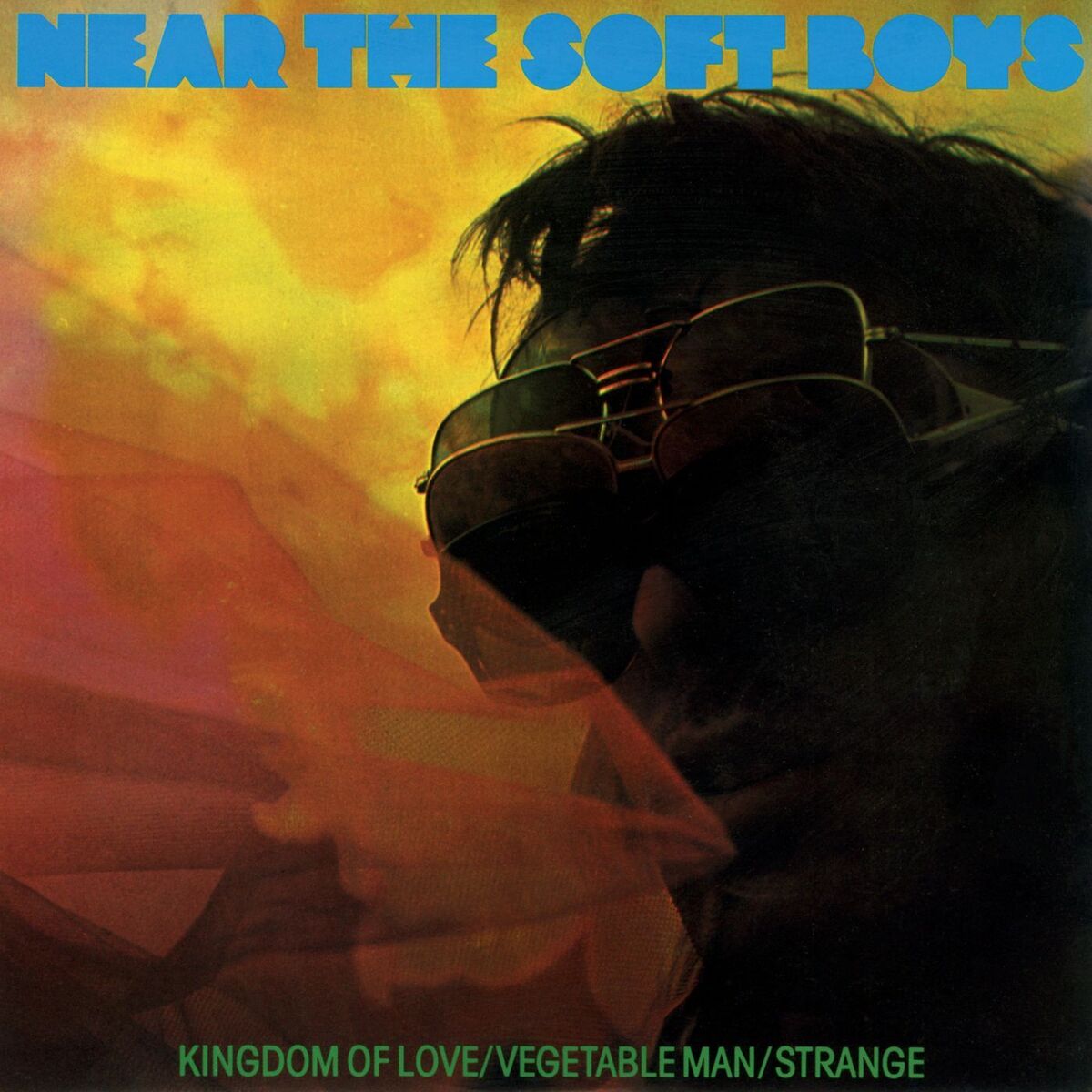 Album cover of Near the Soft Boys