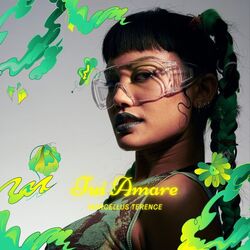 Cover of Tui Amare