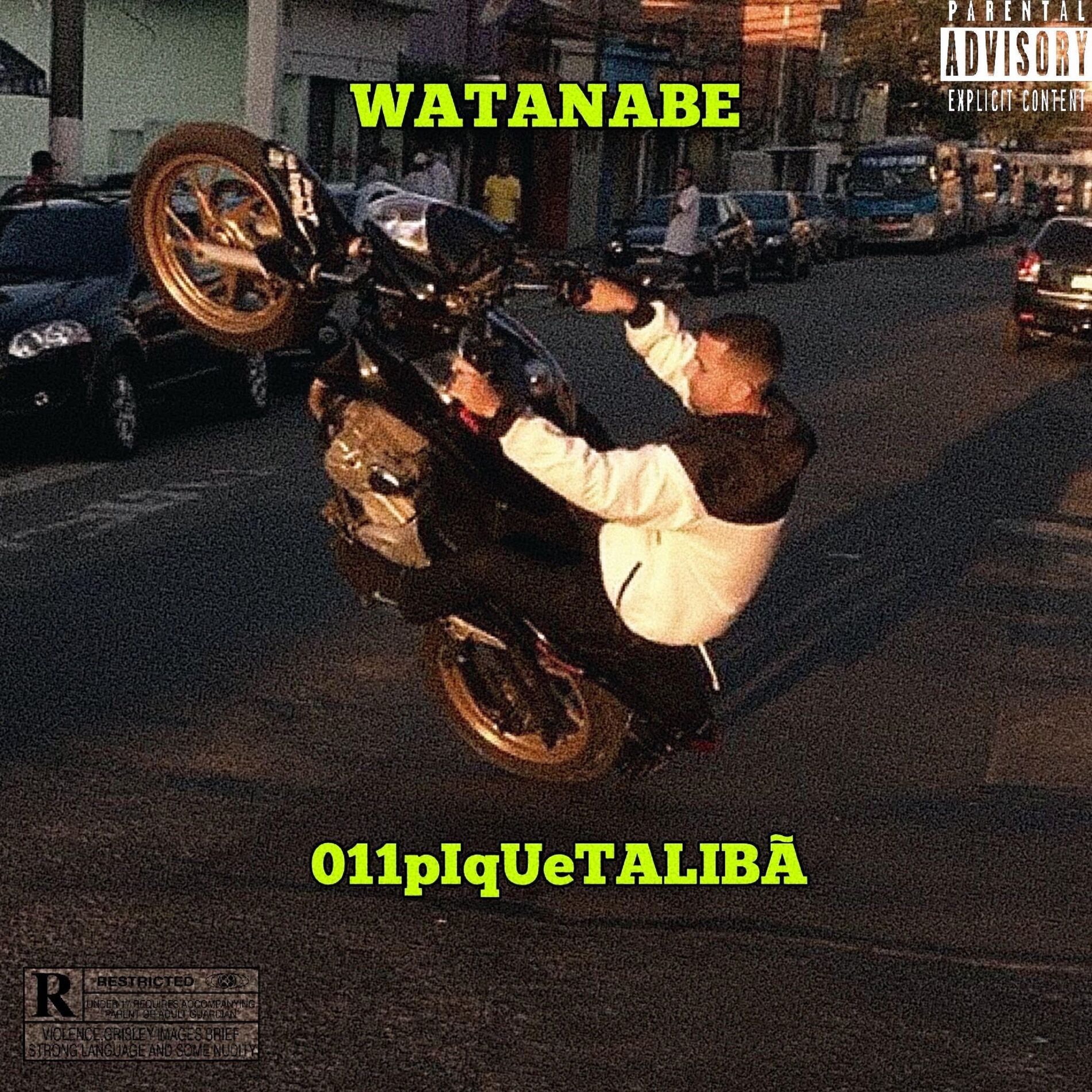 Album cover of 011Piquetalibã