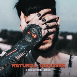 Cover of Natural Disaster