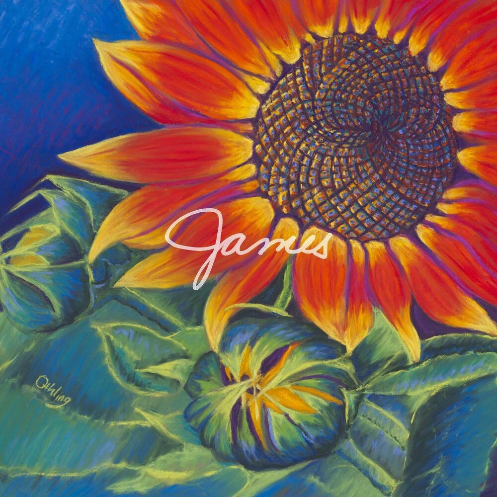 Picture of James