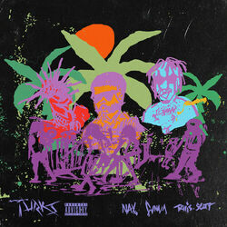 Cover of Turks