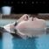 Swimmingpool
