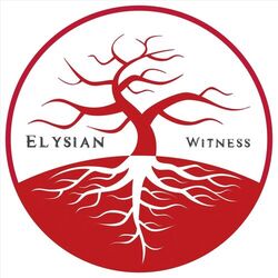 Cover of Witness