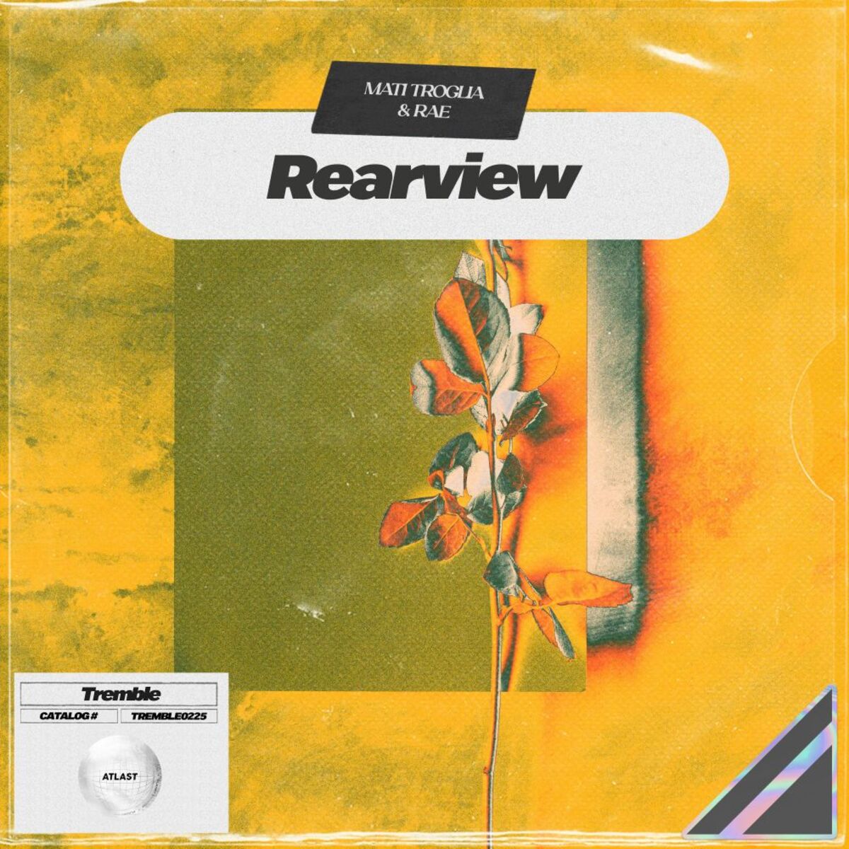 Album cover of Rearview