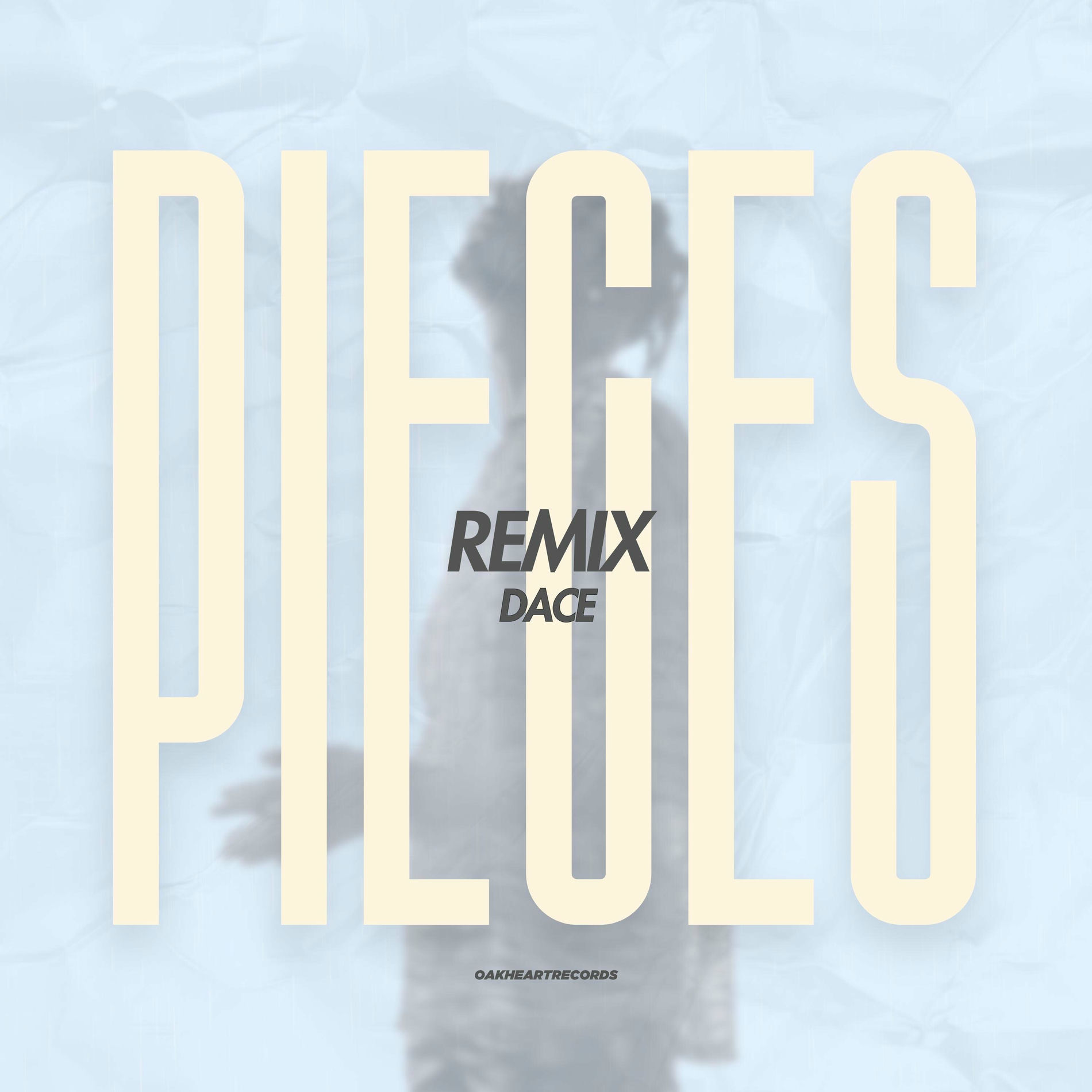 Album cover of Pieces (Afro House Remix)