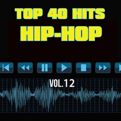 Cover of Top 40 Hits Hip Hop, Vol. 12