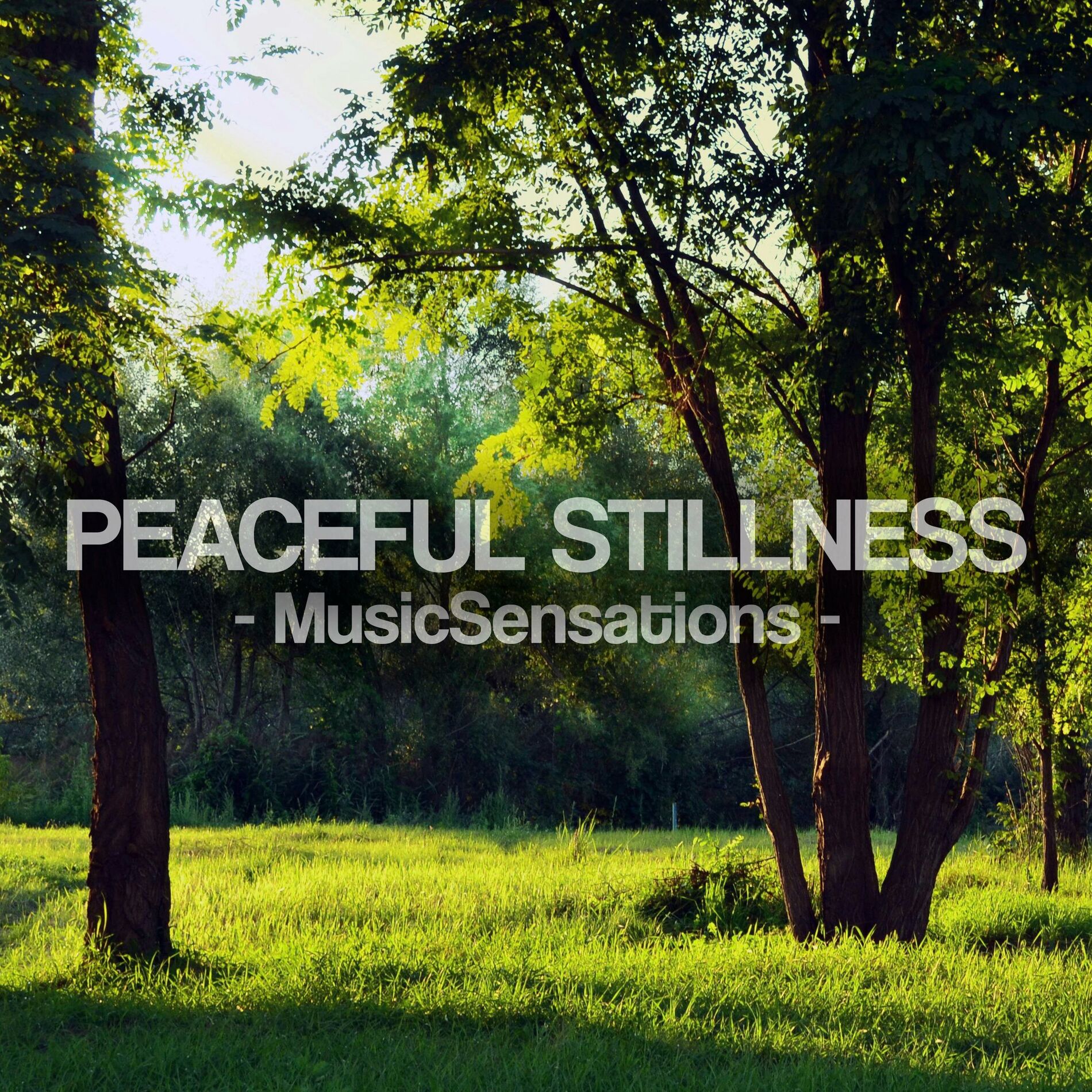 Album cover of Peaceful Stillness