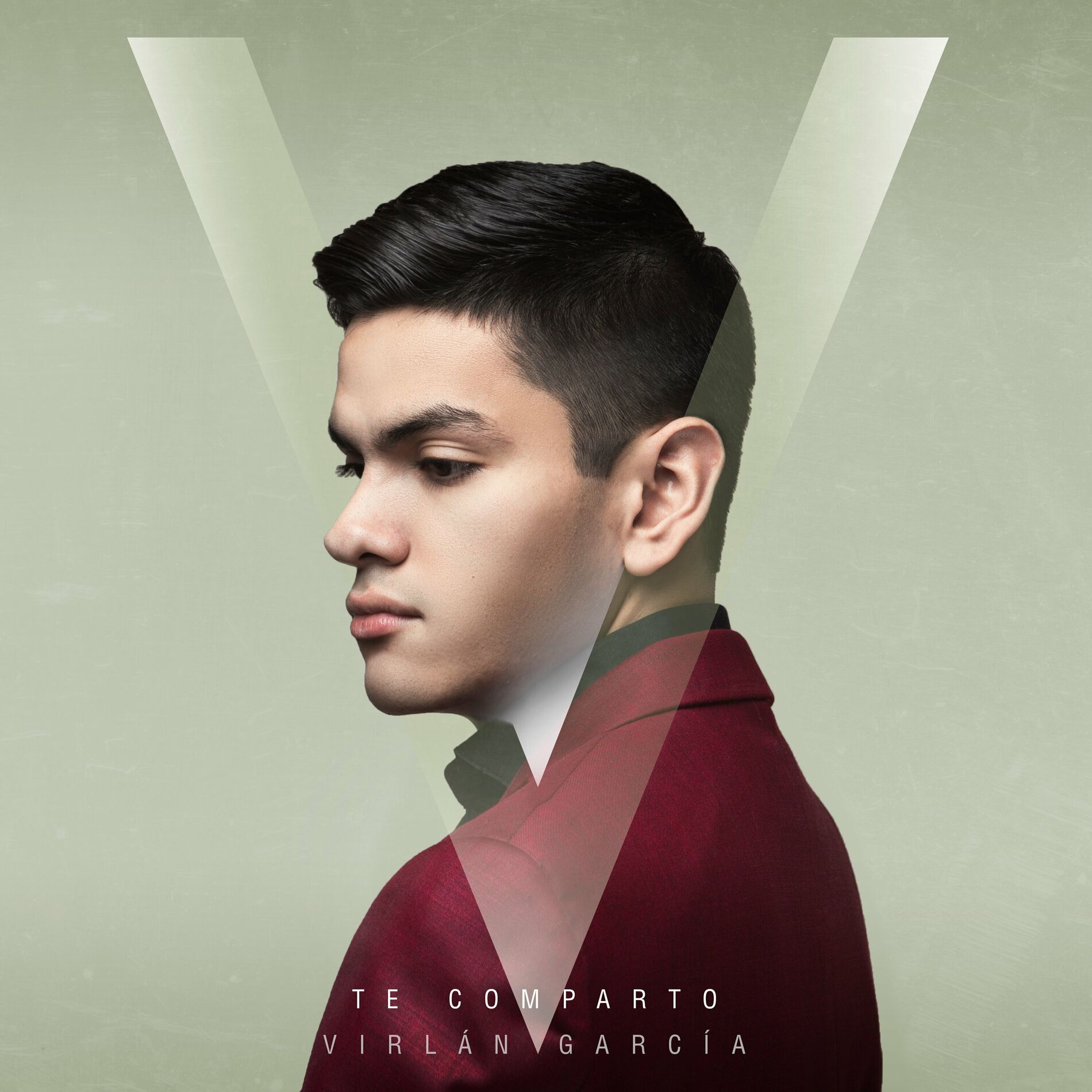 Album cover of El Viaje De Mi Vida