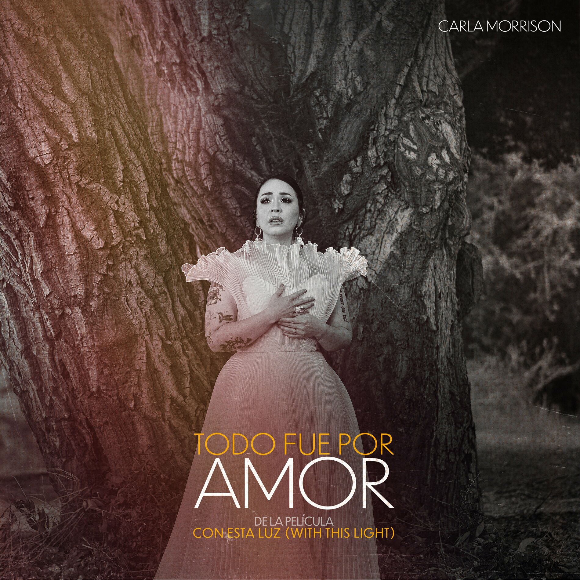 Album cover of Todo Fue Por Amor (de la película “Con Esta Luz”)