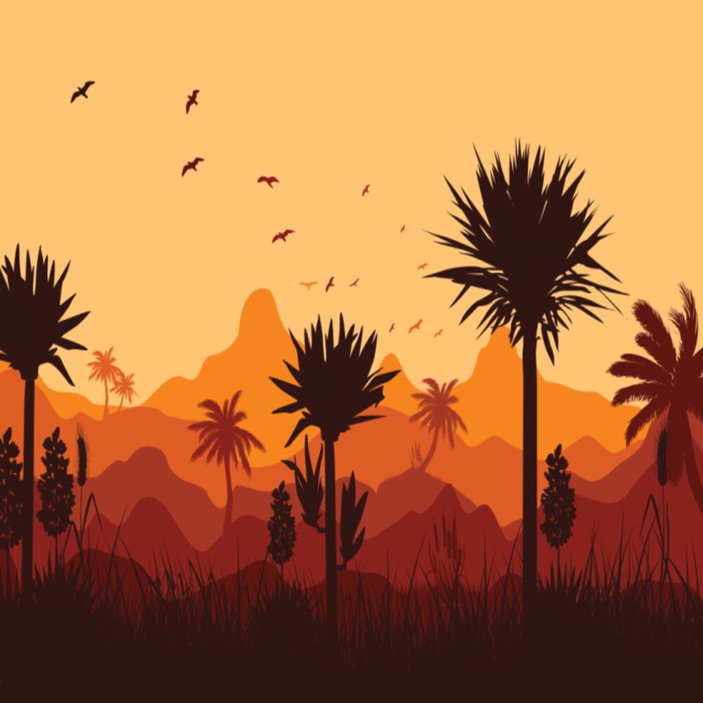 Picture of YUCCA