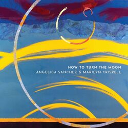 Cover of How to Turn the Moon