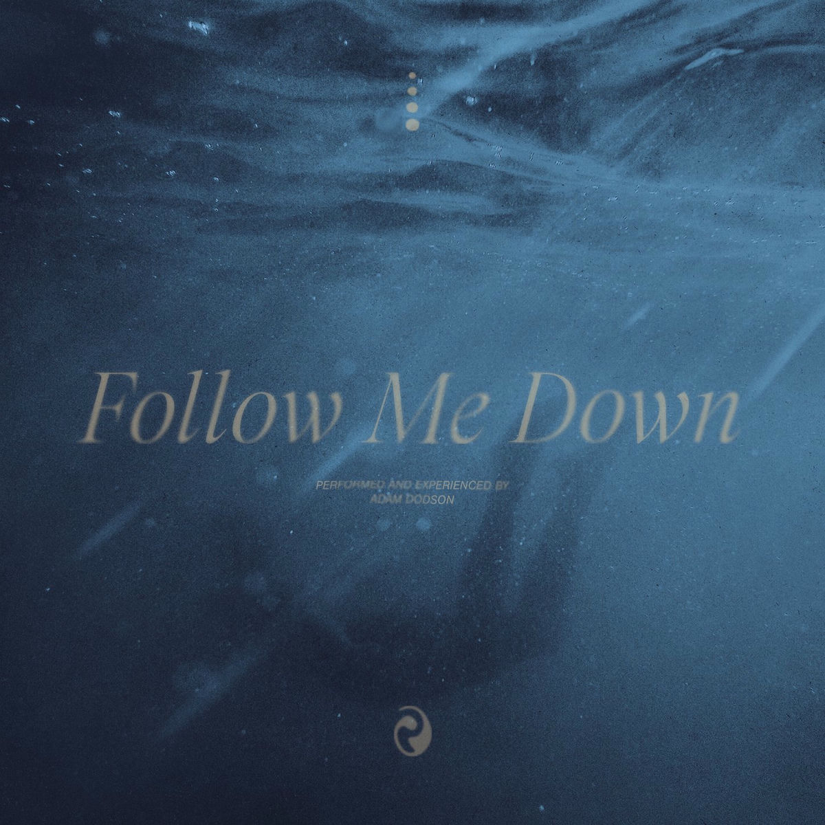 Album cover of Follow Me Down