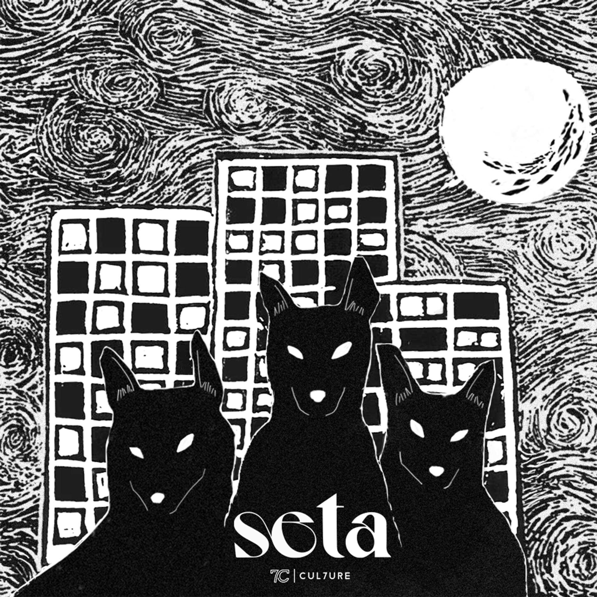 Album cover of Seta