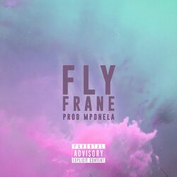 Cover of Fly