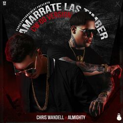 Cover of Amarrate las Timber