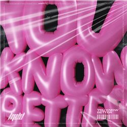 Cover of You Know Better