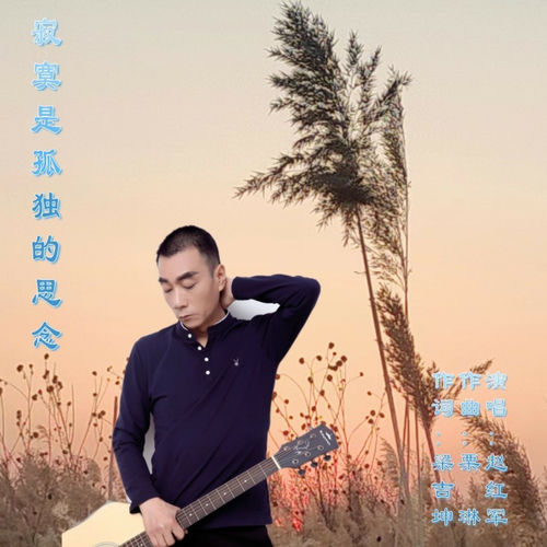 寂寞是孤独的思念