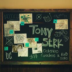 Cover of TONY STRK