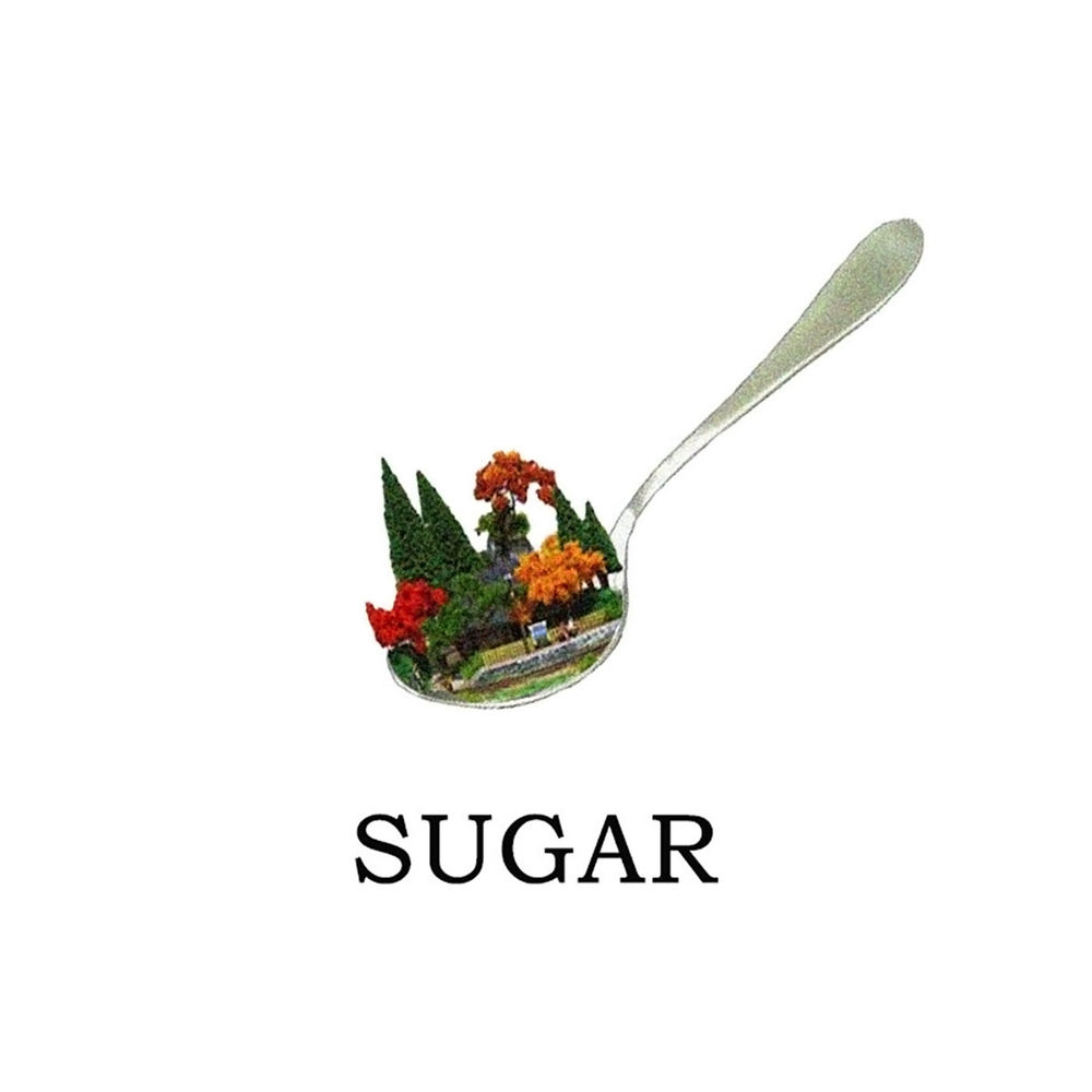 Pochette Sugar