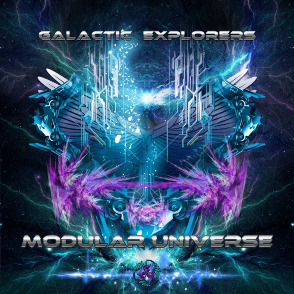 Picture of Modular Universe