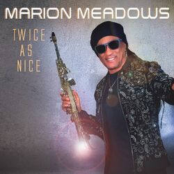 Cover of Twice As Nice