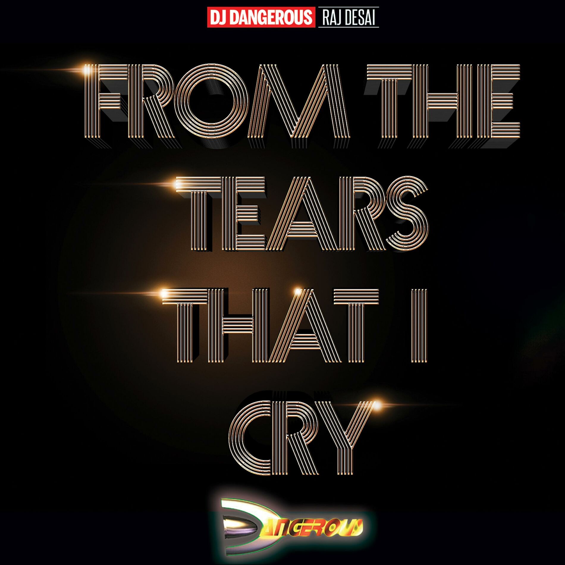 Album cover of From The Tears That I Cry