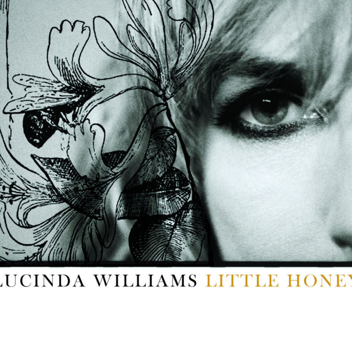 Album cover of Little Honey (UK  Version)
