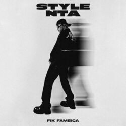 Cover of Style Nta