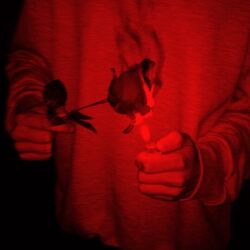 Cover of Single as Fuck