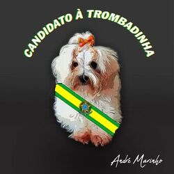 Cover of Candidato à Trombadinha