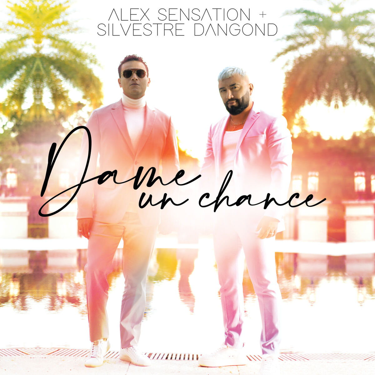 Album cover of Dame Un Chance