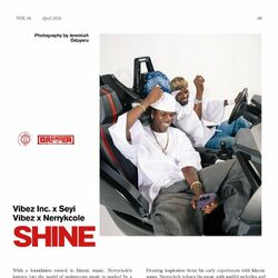 Cover of Shine