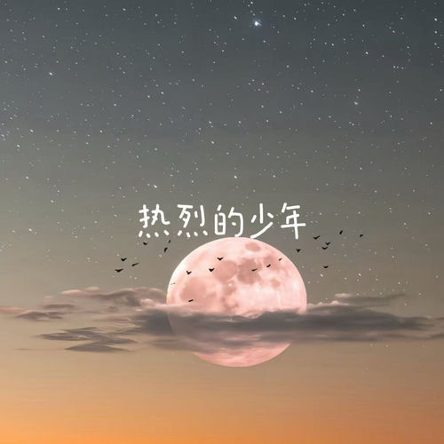 热烈的少年